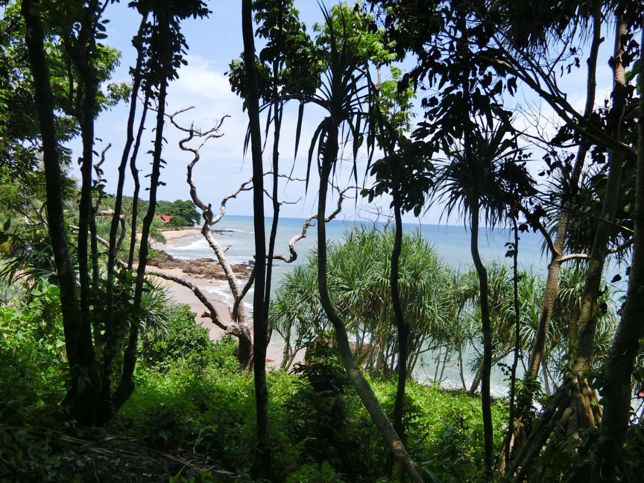 The Narima - Sha Plus Ko Lanta Eksteriør billede
